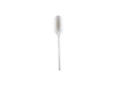 Spoon compostable - 100 ex