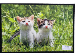 ANTIDUST MAT DESIGN 39x59cm
