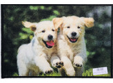 Anti-dust mat - HEVA design - 39x59 - dog