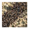 Antidust mat - HEVA HP - 3-zone - 90x150 - brown