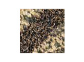 Antidust mat - HEVA HP - 3-zone - 90x150 - brown